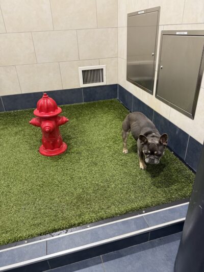 Pet Relief Area - Newark, NJ