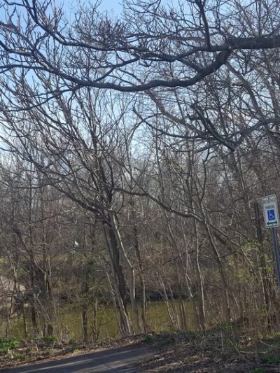 Erie Canalway Trail, Newark NY - Newark, NY