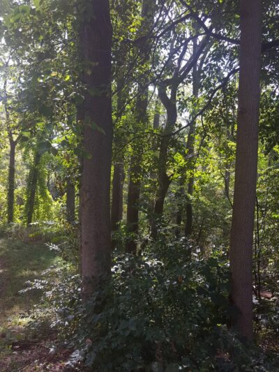 Erie Canalway Trail, Newark NY - Newark, NY