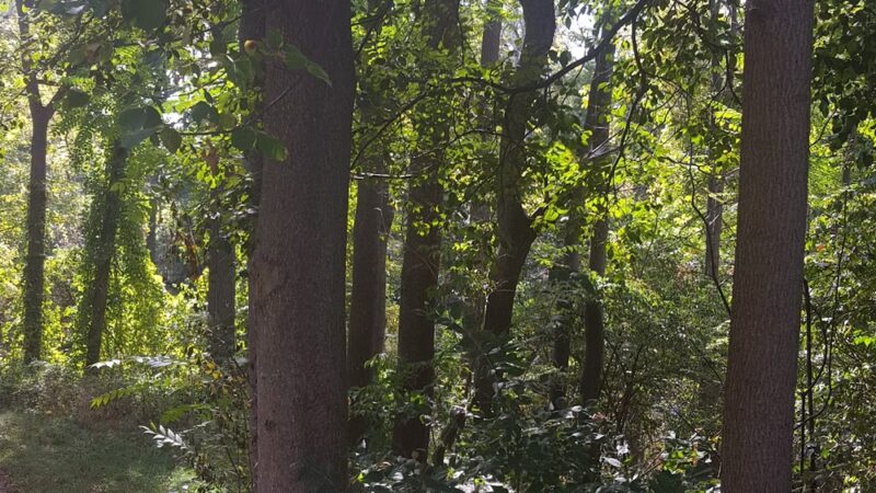 Erie Canalway Trail, Newark NY - Newark, NY