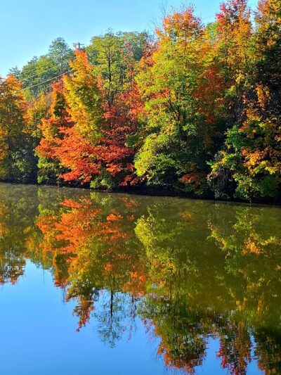 Harder Canal Park - Newark, NY