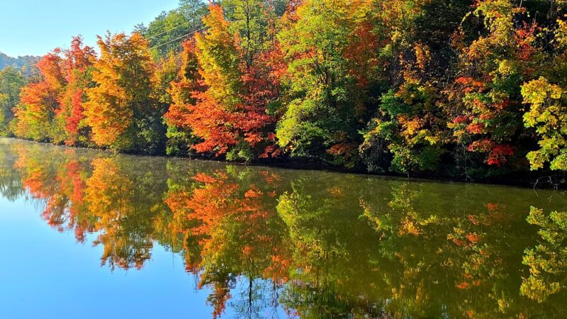 Harder Canal Park - Newark, NY