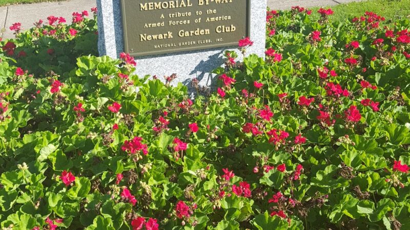 Newark Central Park - Newark, NY