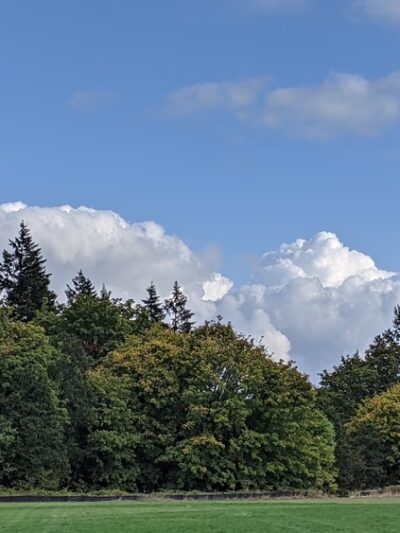 Friends’ Park - Newberg, OR