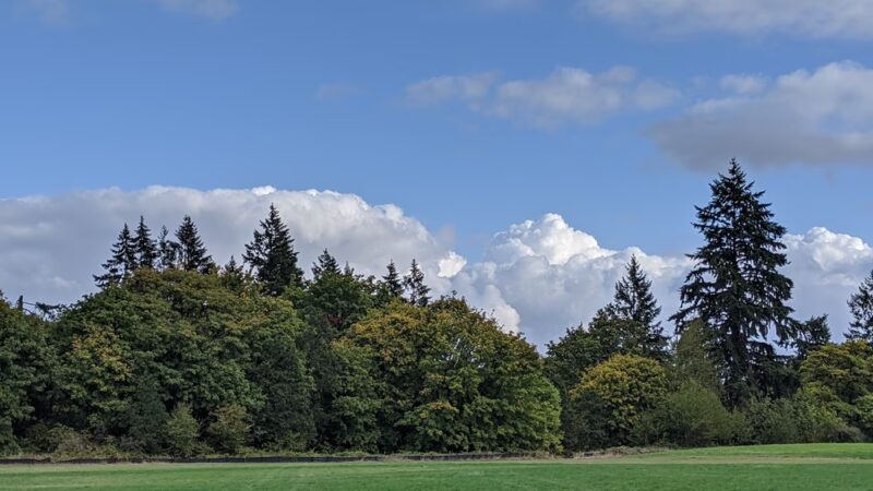 Friends’ Park - Newberg, OR