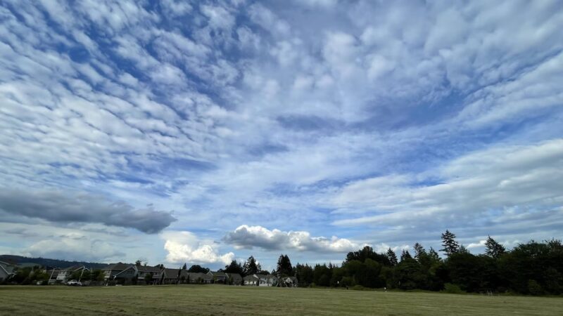 Friends’ Park - Newberg, OR