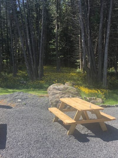 Newcomb Cafe and Campground - Newcomb, NY