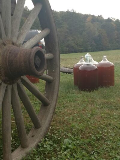 Williamsville - Newfane, VT