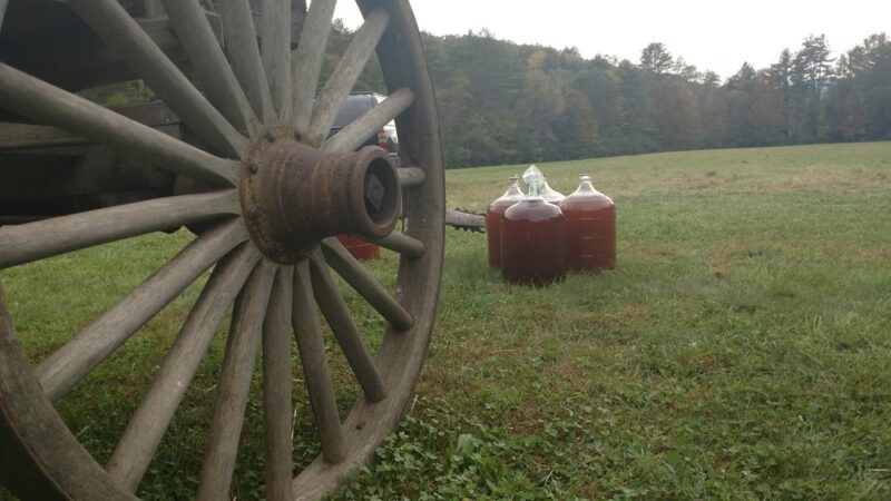 Williamsville - Newfane, VT