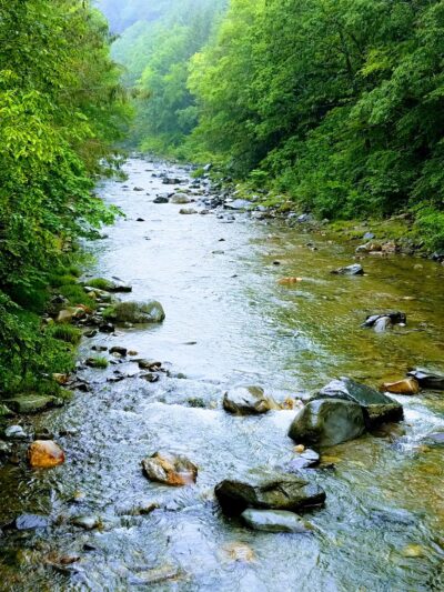 Williamsville - Newfane, VT