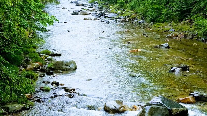 Williamsville - Newfane, VT