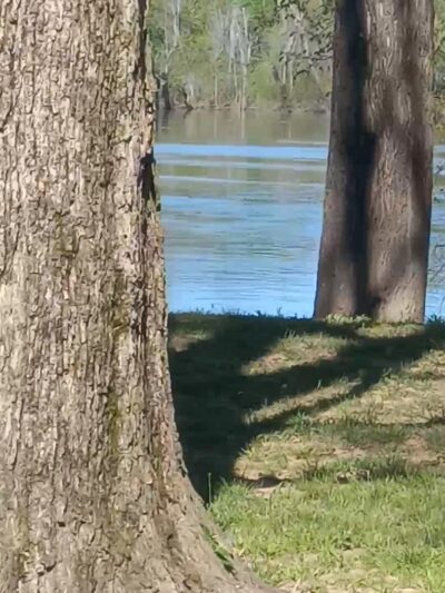 Jacksonport State Park - Newport, AR