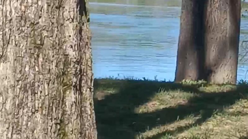 Jacksonport State Park - Newport, AR