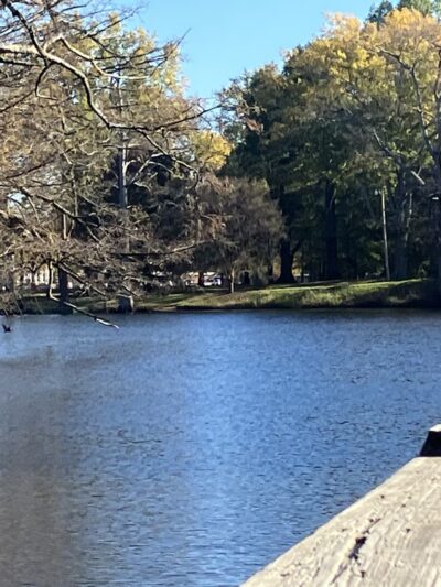 Lockwood Park - Newport, AR