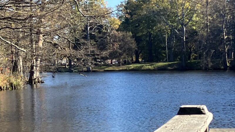Lockwood Park - Newport, AR