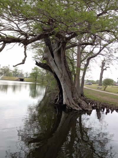 Lockwood Park - Newport, AR