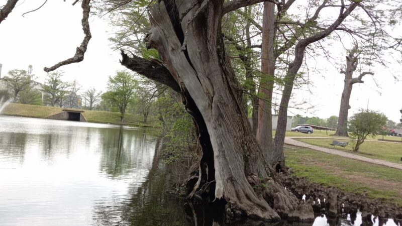 Lockwood Park - Newport, AR