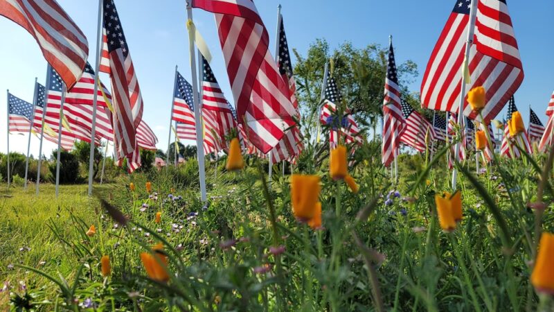 Castaways Park - Newport Beach, CA