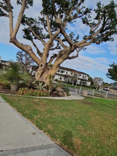 Galaxy View Park - Newport Beach, CA