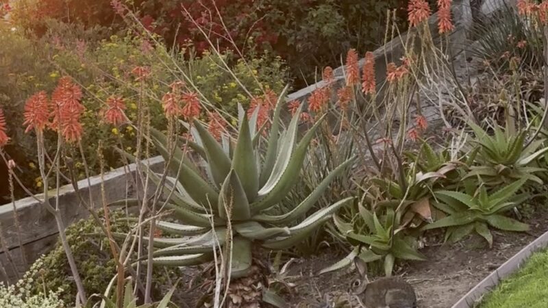 Kings Road Park - Newport Beach, CA