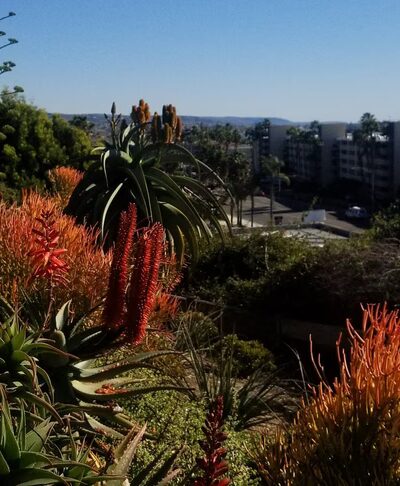 Kings Road Park - Newport Beach, CA