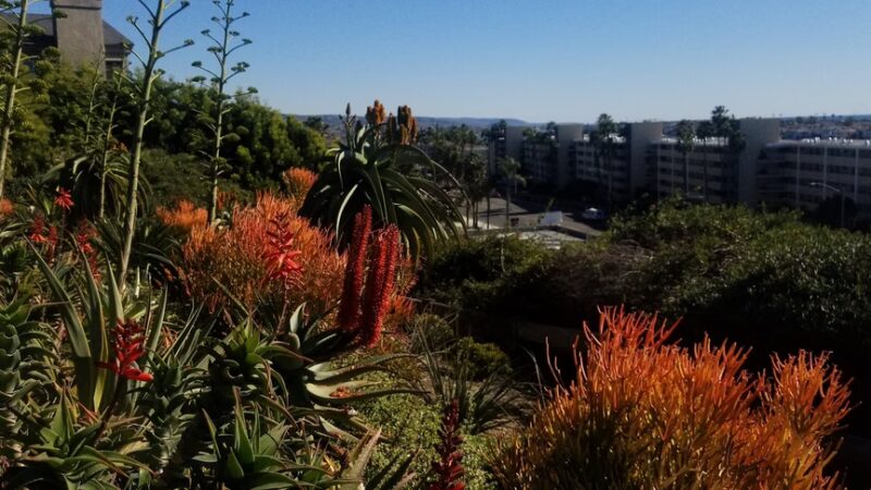 Kings Road Park - Newport Beach, CA