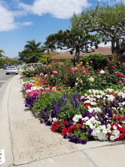 Kings Road Park - Newport Beach, CA