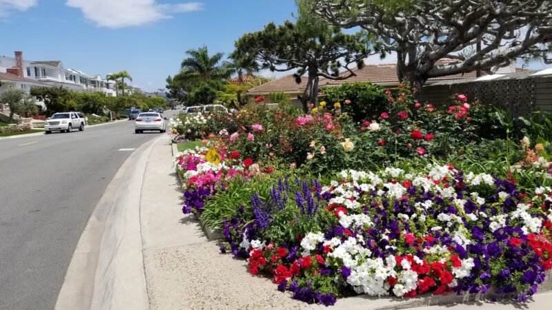Kings Road Park - Newport Beach, CA