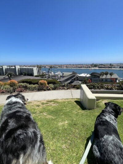 Kings Road Park - Newport Beach, CA