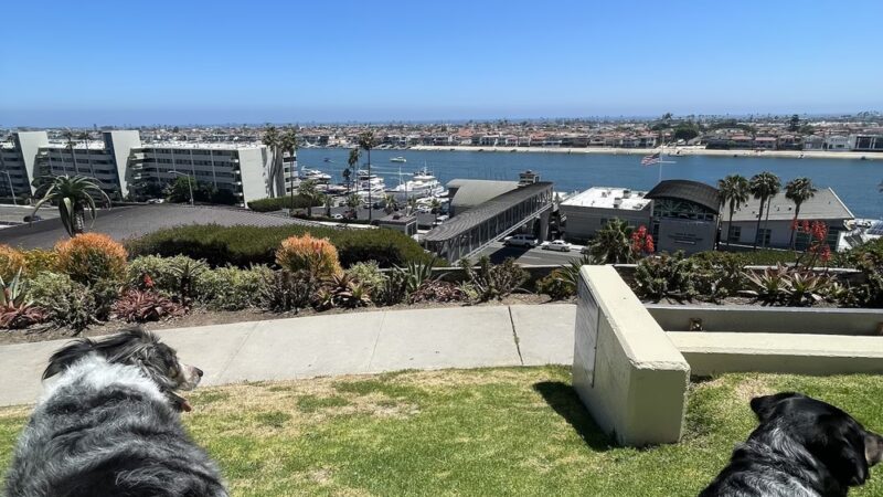 Kings Road Park - Newport Beach, CA