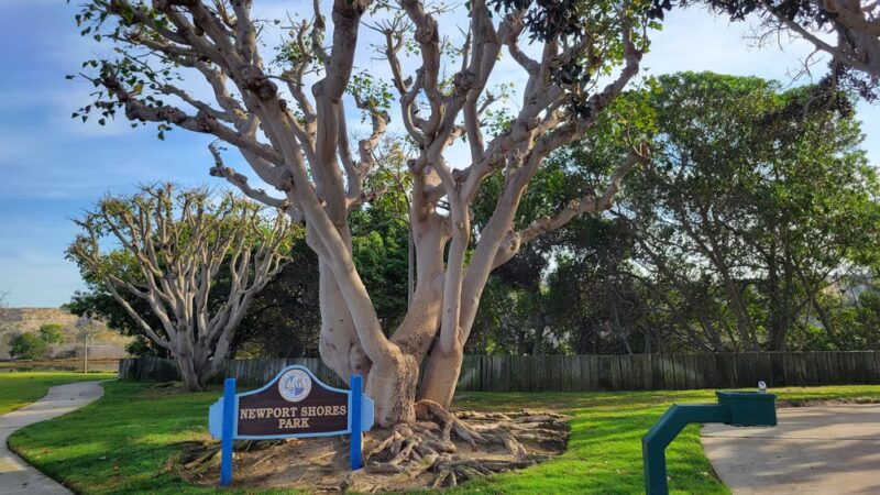 Newport Shores Park - Newport Beach, CA