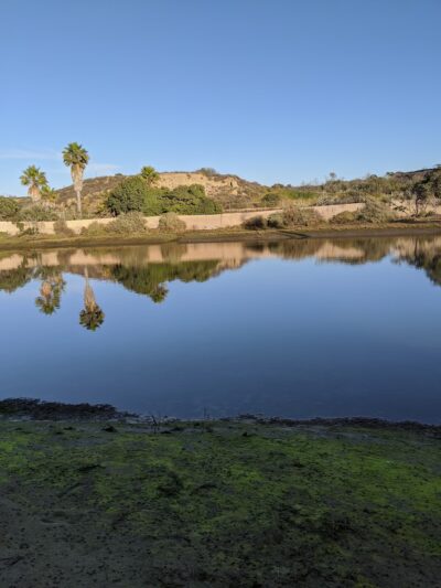 Newport Shores Park - Newport Beach, CA