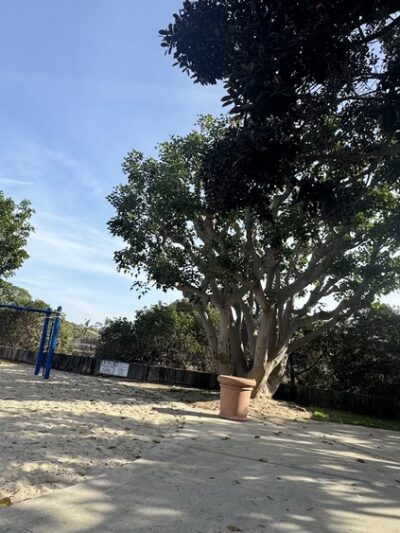 Newport Shores Park - Newport Beach, CA