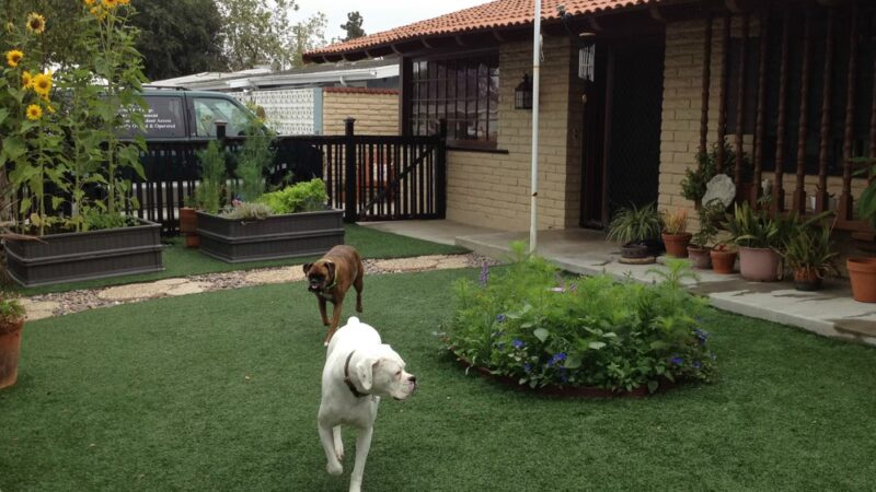 The Dog Park Inn - Newport Beach, CA