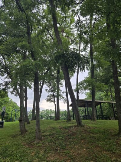 Riddleview Park - Newport, KY