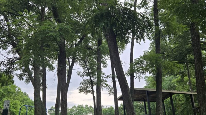Riddleview Park - Newport, KY