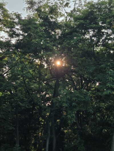 Riddleview Park - Newport, KY