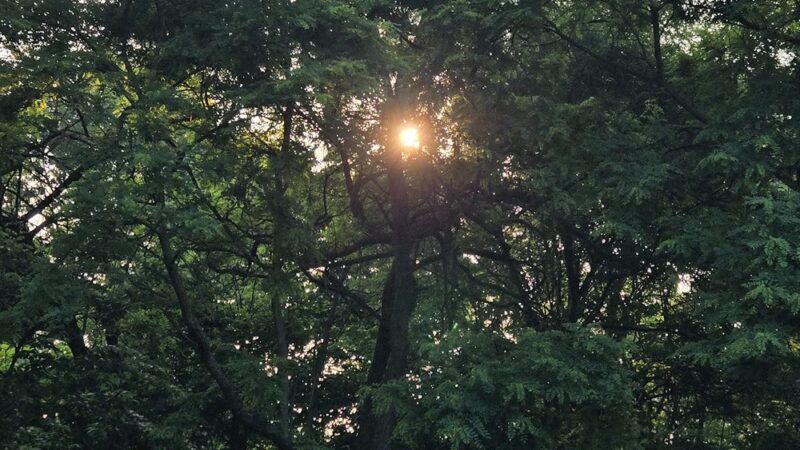 Riddleview Park - Newport, KY