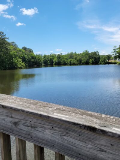 Mariners' Lake Natural Area - Newport News, VA