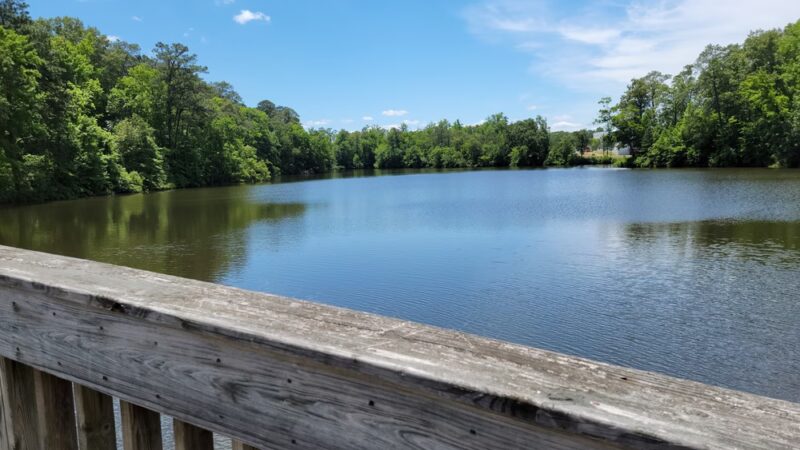 Mariners' Lake Natural Area - Newport News, VA