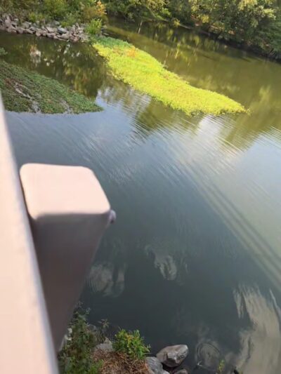 Mariners' Lake Natural Area - Newport News, VA