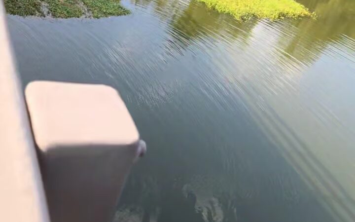 Mariners' Lake Natural Area - Newport News, VA