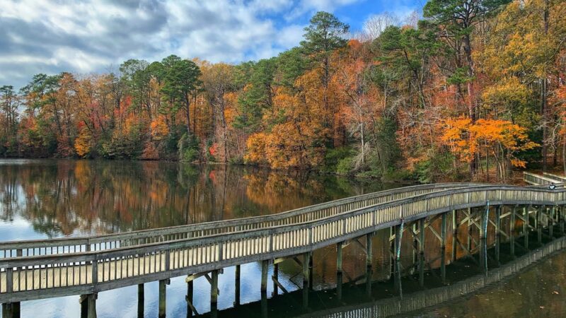 Mariners' Lake Natural Area - Newport News, VA
