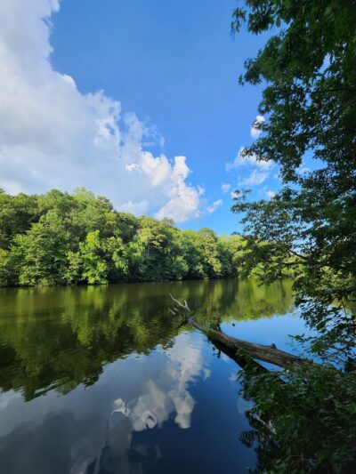 Mariners' Lake Natural Area - Newport News, VA