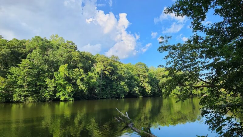 Mariners' Lake Natural Area - Newport News, VA