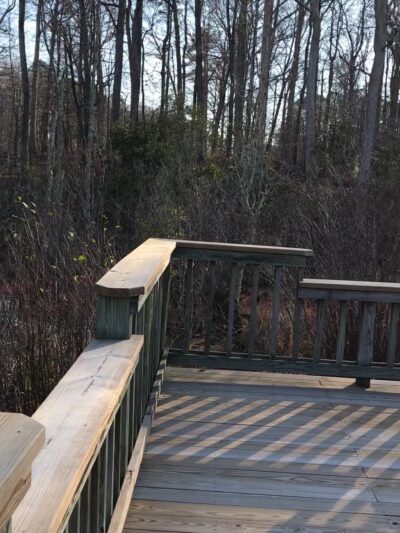 Newport News Park - Newport News, VA