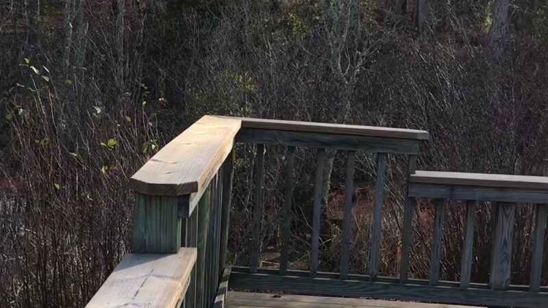 Newport News Park - Newport News, VA
