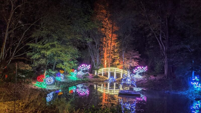 Newport News Park - Newport News, VA