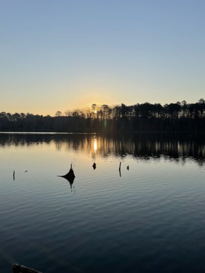 Newport News Park - Newport News, VA