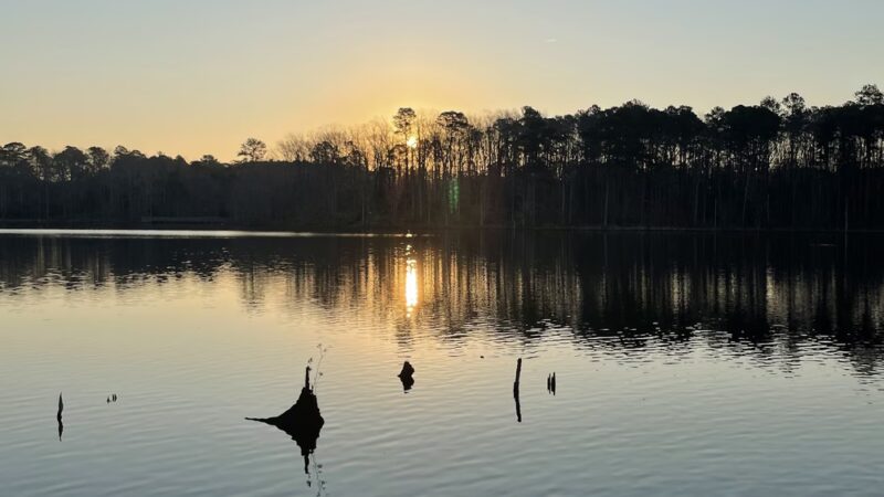 Newport News Park - Newport News, VA
